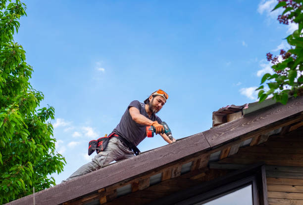 Best Roof Insulation Installation  in Mililani Mauka, HI