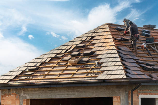 Best Skylight Installation and Repair  in Mililani Mauka, HI